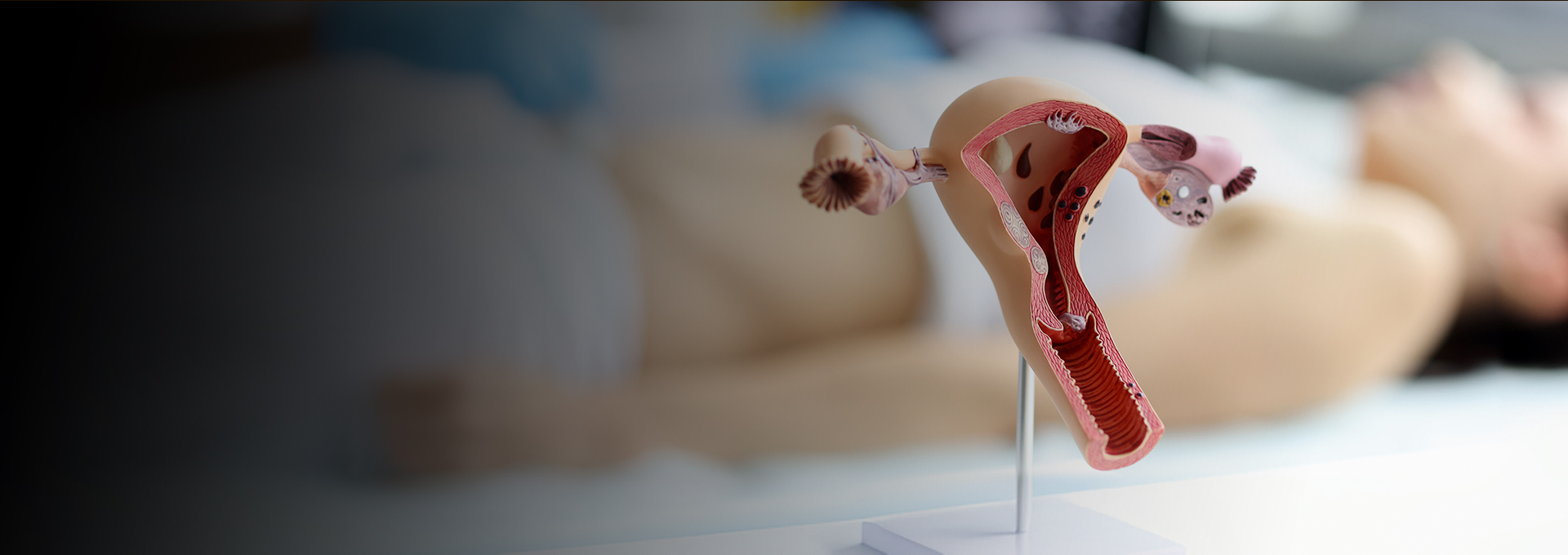 Gynecology aesthetic 